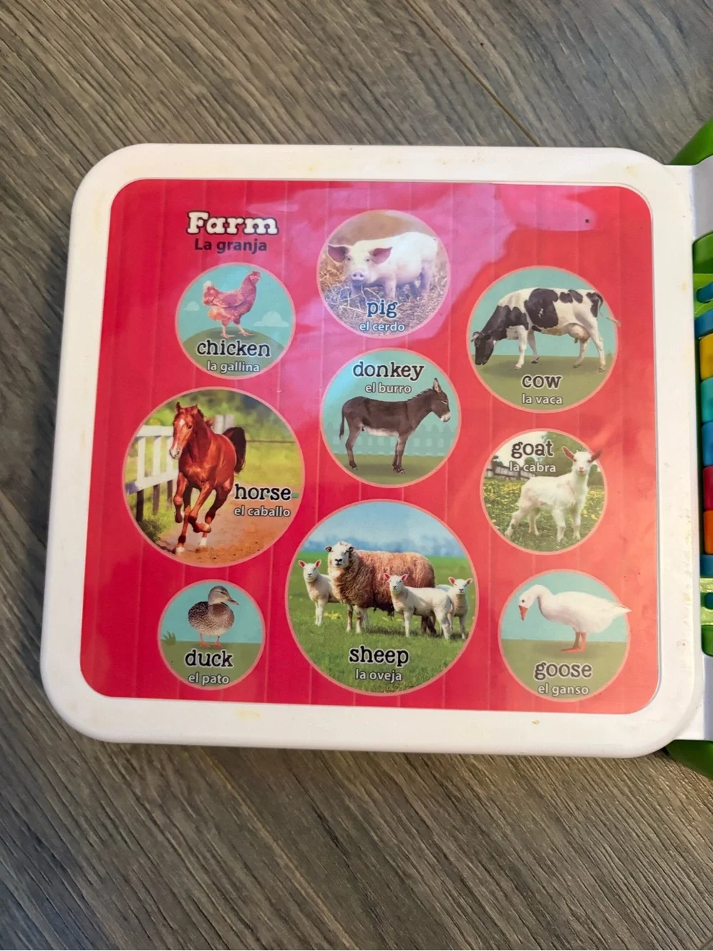LeapFrog 100 Animals Book | Interactive Learning Book